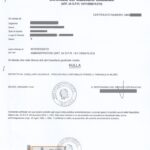 casellario giudiziale online